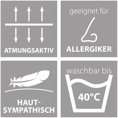 Traumnacht Stuhlkissen Set 4er, Bequeme Kissen für Garten und Küche, 38x38cm, altrosa
