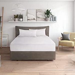 Traumnacht Komfort Kopfkissen 40x80 cm - Öko-Tex Baumwolle, bequem & platzsparend im Doppelpack