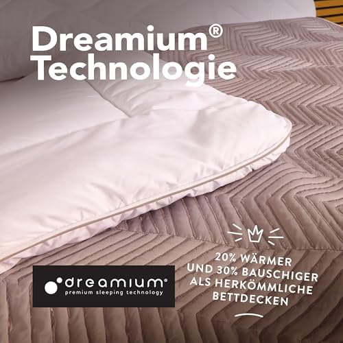 John Cotton Nacht Wolke Bettdecke 135x200 - Allergikerfreundliche Steppdecke aus weicher Microfaser für ganzjährigen Kom